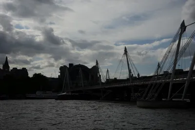 DSC_2798 (Large).JPG